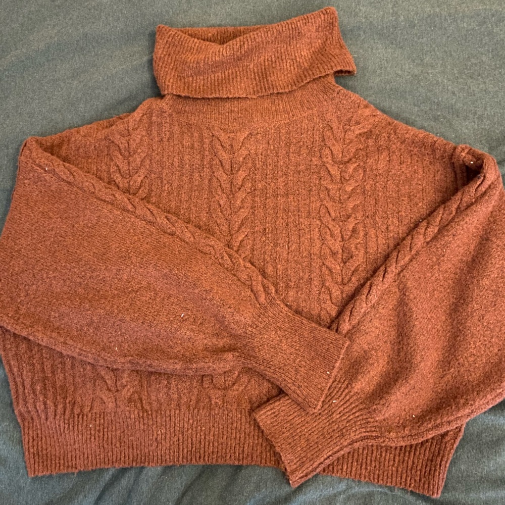 Soft Cropped Turtleneck Sweater